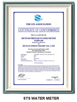 STS WATER METER
